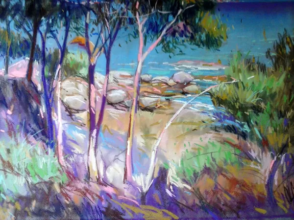 Costa Brava (65x50cm)