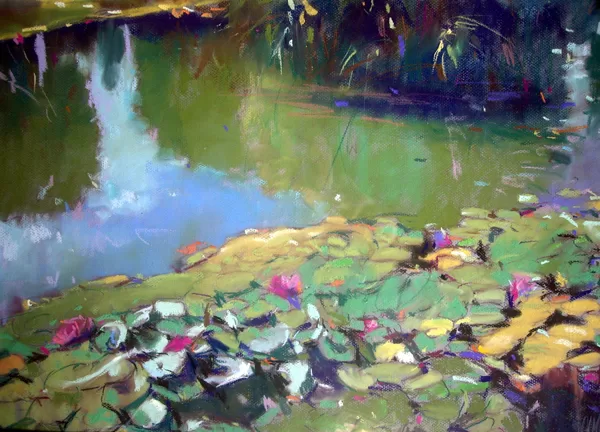 Nenúfares (65x50cm)