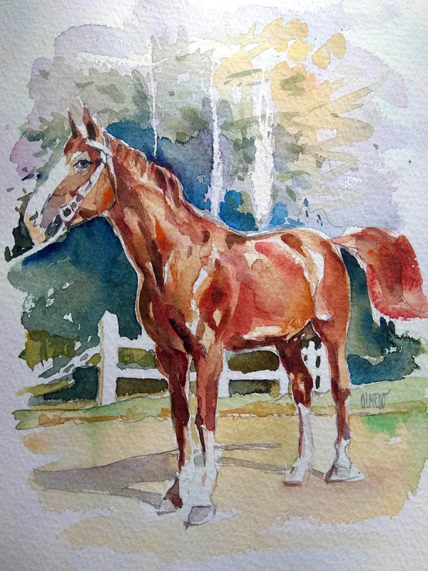 Caballo (24x31cm)